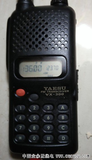 VX300..jpg